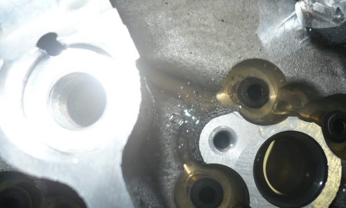 P1010263_resize.JPG